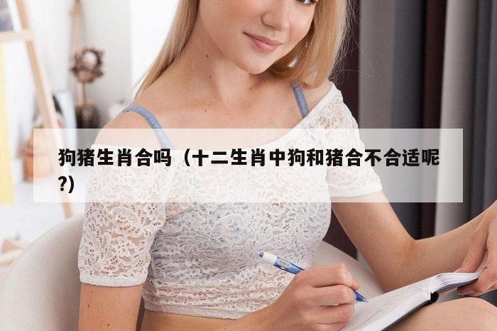 狗猪生肖合吗（十二生肖中狗和猪合不合适呢?）